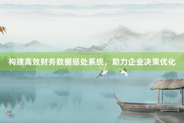 构建高效财务数据惩处系统，助力企业决策优化